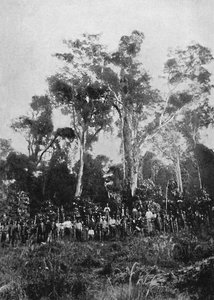 Jomfru Matta, 1895