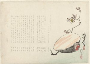 Shell av Ayaoka Yûshin