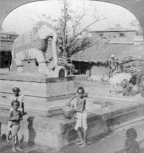 En elefantfontene, Madura, India, 1901.