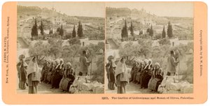 Getsemane-hagen og Oljeberget, Palestina, 1898.