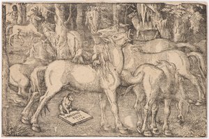 Gruppe på syv hester, 1534. av Baldung