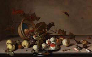 Fruktstilleben med flettet kurv, blåskjell og sommerfugl, første halvdel av 1600-tallet. av Balthasar van der Ast