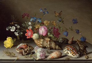 Blomster, skjell og insekter på en steinhylle