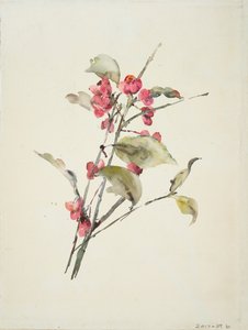 Rosa blomster (akvarell på papir) av Barbara Leigh Smith Bodichon