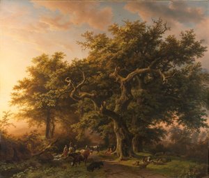 Skogsceneutsikt i skogen