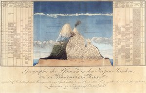 Geography of Plants in Tropical Countries, A Study of the Andes, tegnet av Schoenberger und Turpin, trykt av Langlois, Paris