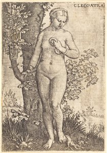 Kleopatra av Barthel Beham