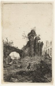 Ruins of the Colosseum, plate 10 fra The Ruins of Rome