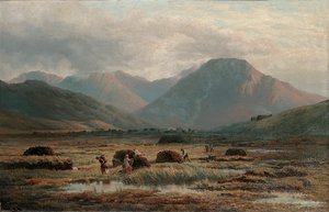 Torvmyr, Letterfrack, Connemara av Bartholomew Colles Watkins