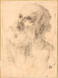 Hodet til en gammel mann av Bartolomé Esteban Murillo