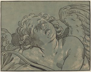 Amor sover