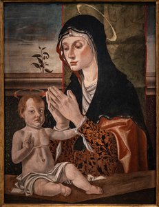 Madonna med Jesusbarnet av Bartolomeo Montagna