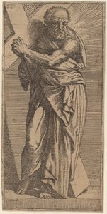 Saint Andrew av Bartolomeo Passarotti