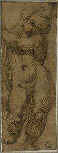 Stående Putto sett fra forsiden: Study for the Virgin in Glory med de hellige Petronius, Dominic og Peter Martyr av Bartolomeo Passarotti