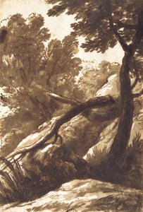 Skogkledd landskap av Bartolomeo Torregiani