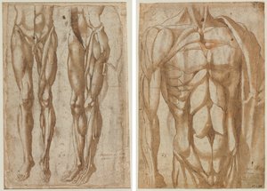 To studier av en flådd mann (recto) Studie av en flådd torso (verso) av Bartolommeo da Arezzo