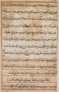 Side fra Tales of a Parrot Tuti-nama: tekstside, ca. 1560. av Basavana