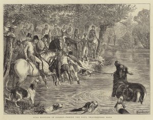 Stag Hunting i Surrey, tar Deer, Shackleford Pond