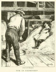 Tom er ventet av Basil Bradley