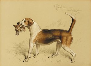 Straff av Basil J. Nightingale