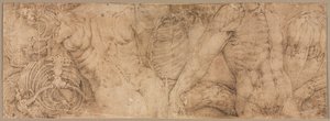 Torsoer med ribbeinbur, tidlig på 1540-tallet. av Battista Franco