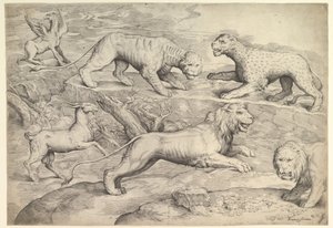 Seks dyr, inkludert løver, en tiger, en leopard, en griffin og en geit, ca. 1530-61.