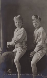 The Duc De Brabant, The Count Of Flanders, på lekelefant av Belgian Photographer