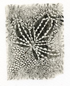 Ivy, 2014, (tregravering på papir) av Bella Larsson