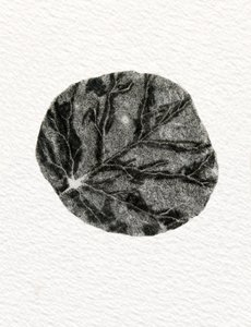 Leaf, 2014, (tregravering på papir) av Bella Larsson