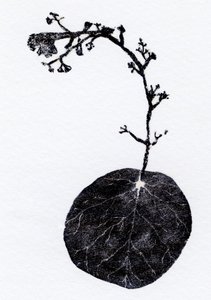 Lichen Leaf, 2014 (Tregravering, collage på papir) av Bella Larsson