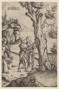 Birth of Adonis (fra serien: The Metamorphoses)