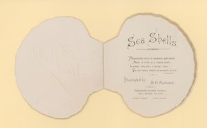 Illustrasjon for hefte med tittelen Sea Shells (color litho)