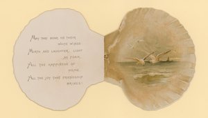 Illustrasjon for hefte med tittelen Sea Shells (color litho)