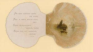 Illustrasjon for hefte med tittelen Sea Shells (color litho)
