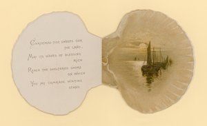 Illustrasjon for hefte med tittelen Sea Shells (color litho)