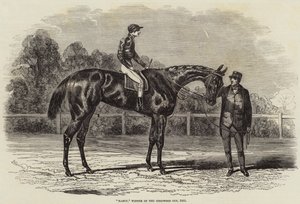 Nancy, vinner av Goodwood Cup, 1851