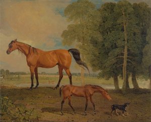 Broodmare med føll og en terrier av Benjamin Marshall