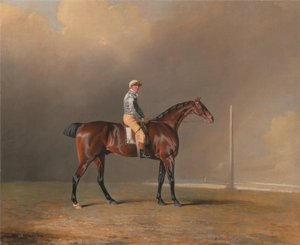  av Benjamin Marshall