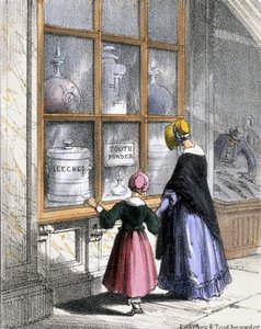 Igler og tannpulver, fra krepsdyr og reptiler i grafiske illustrasjoner av dyr - viser deres nytte for mennesker i deres ansettelse under livet og bruken etter døden, ca. 1845 av Benjamin Waterhouse Hawkins