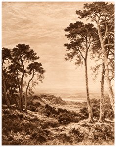 Solnedgang etter regn, 1903 av Benjamin Williams Leader