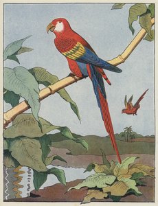 Scarlet ara av Benjamin Rabier