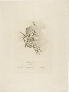 Snekkeren, fra Arts et Métiers av Bernard Gaillot