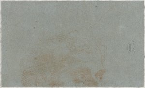 En del av hodet til en mann av Bernardino Lanino (possibly)