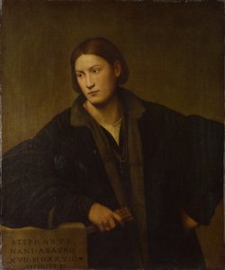 Portrett av Stefano Nani, 1528