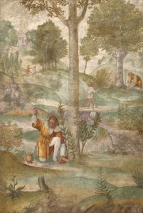 Kefalos gjemmer juvelene av Bernardino Luini