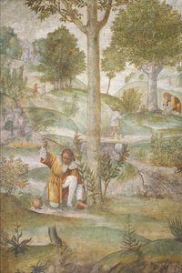Cephalus skjuler juvelene, ca. 15201522. av Bernardino Luini
