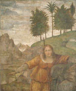 Procris gjennomboret av Cephalus