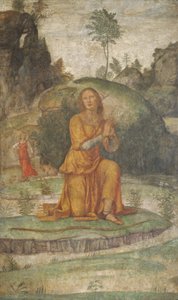 Procris 