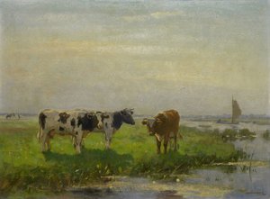 Kyr i Enga av Bernardus Antonie van Beek