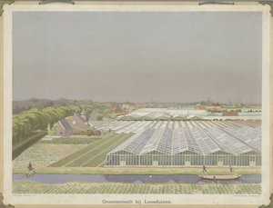Grønnsaksdyrking nær Loosduinen (tittel på objekt) av Bernardus Bueninck